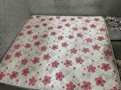 dimon 8 inch foam matress