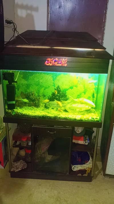 Aquarium with fish