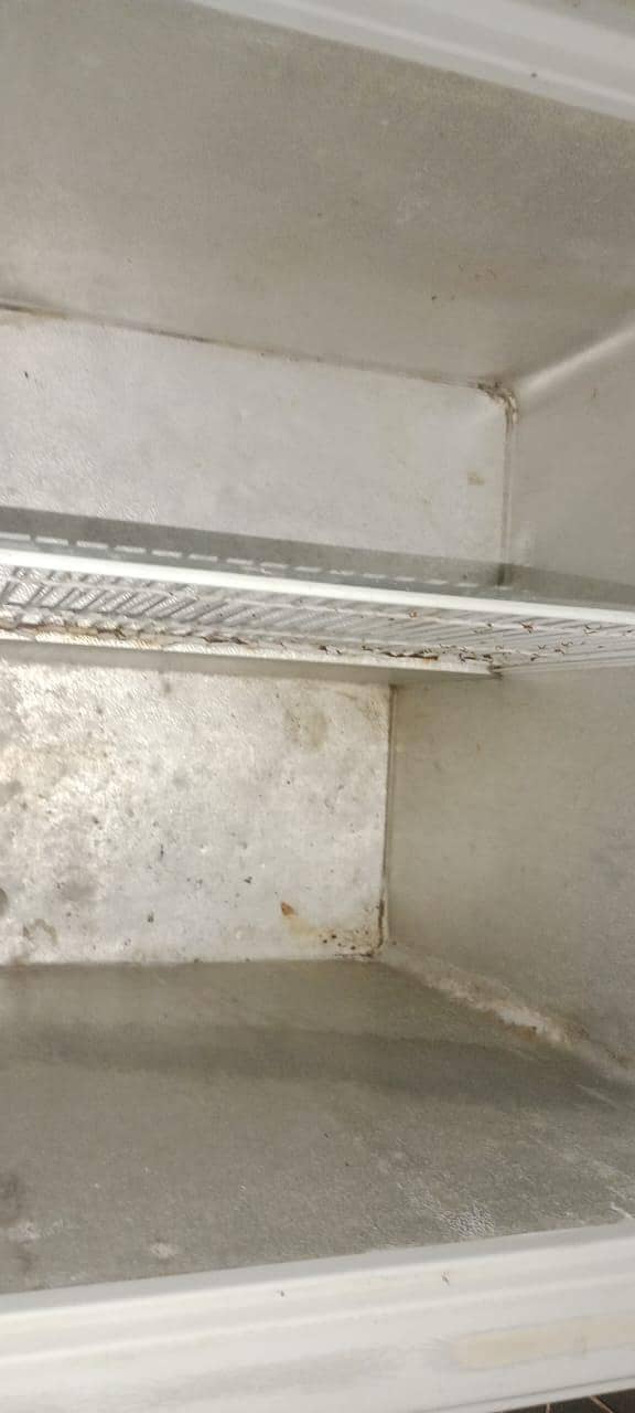 freezer 2