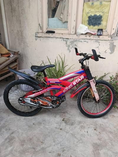 20 size original bicycle