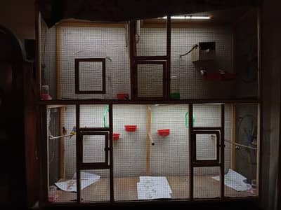 Finches large cage