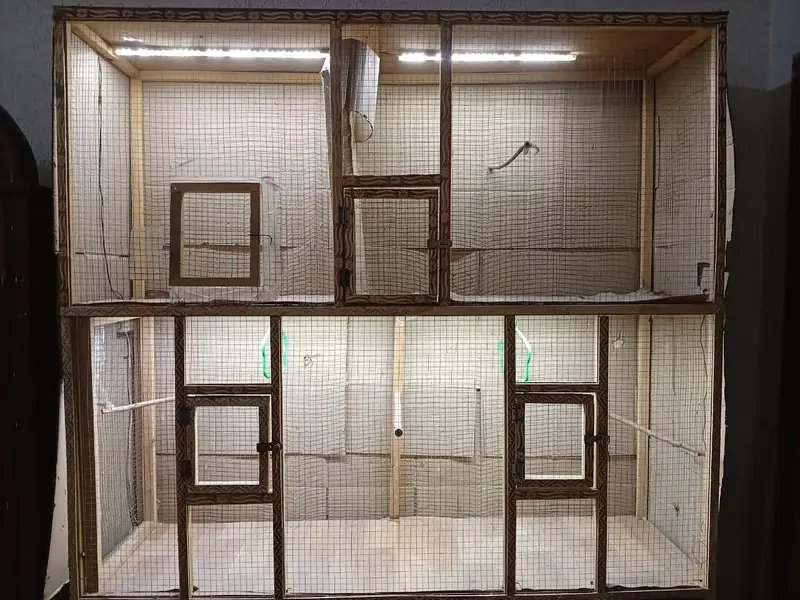 Finches large cage — photo 4
