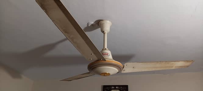 Paramount ceiling fan model 2023