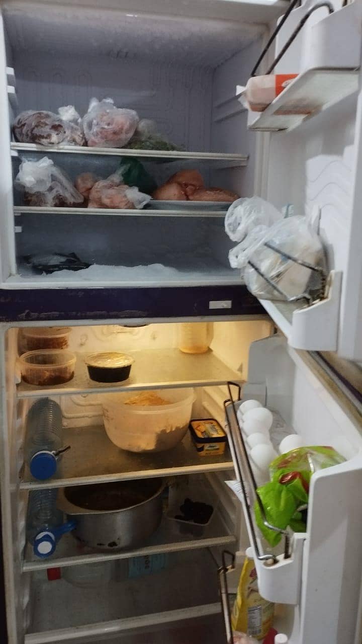 waves refrigerator 1