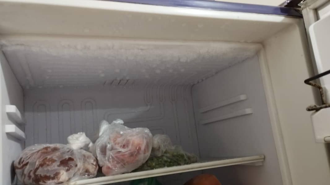 waves refrigerator 2