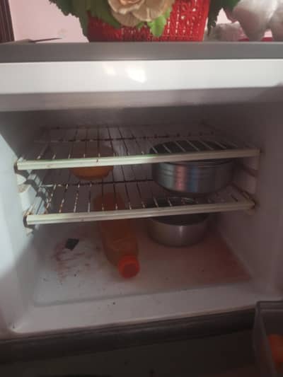Fredge For sale