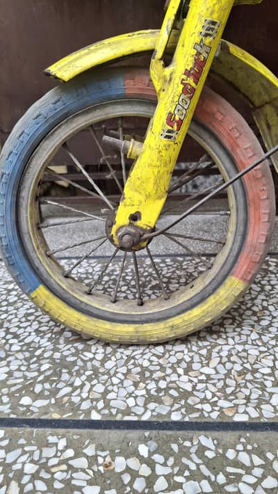 Road King Kids Bicycle