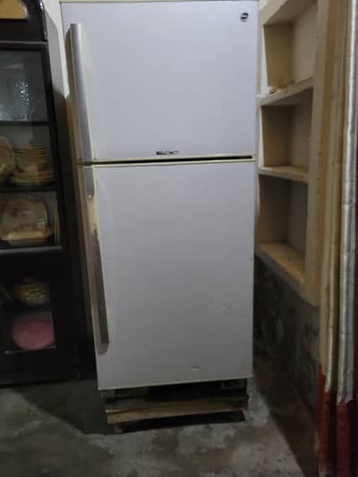 Neat and Clean Pel Fridge Home Used No Repair