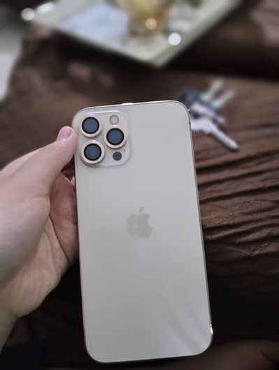 Apple iPhone 12 Pro Max