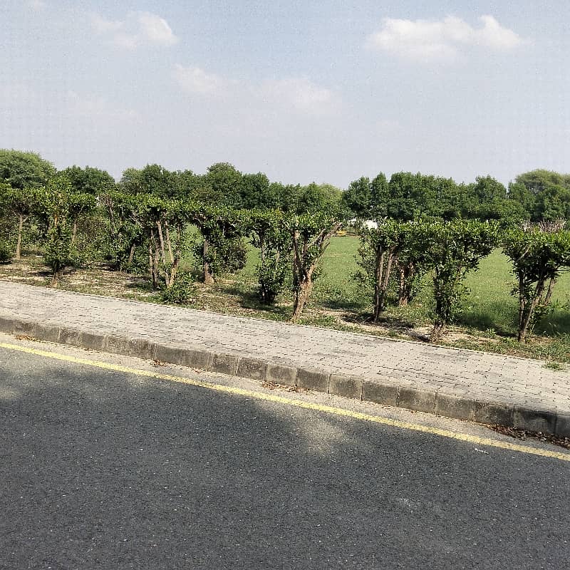 Plot For Sale 1