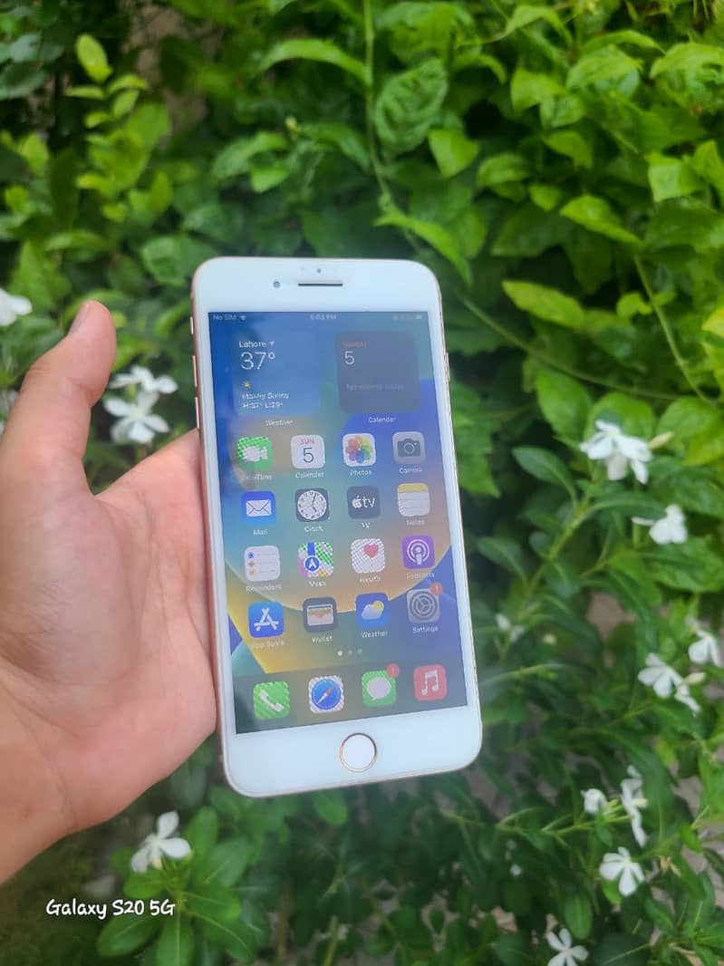 Apple iPhone 8 Plus 1