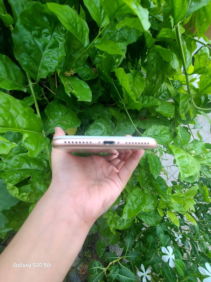 Apple iPhone 8 Plus 3