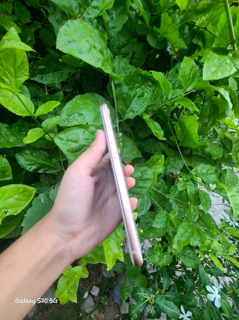 Apple iPhone 8 Plus 6