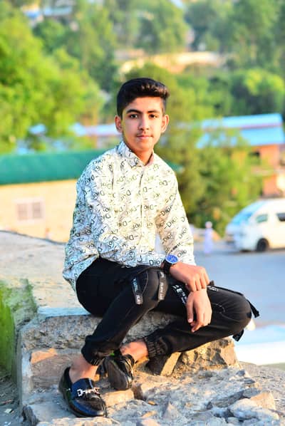 M. Faizan