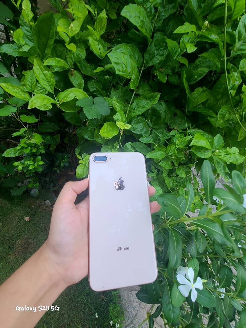 Apple iPhone 8 Plus 6