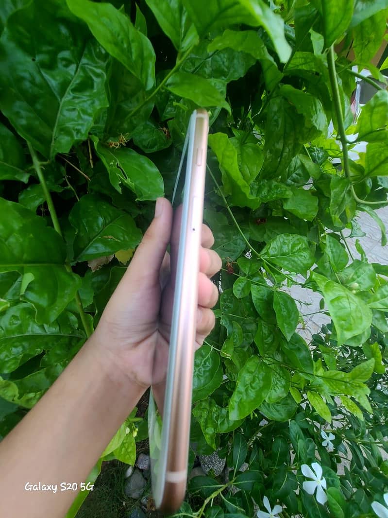 Apple iPhone 8 Plus 13