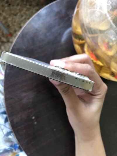 Iphone12 pro max