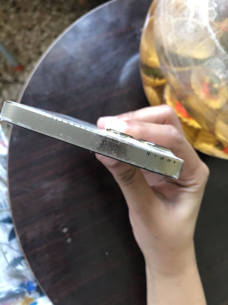 Iphone12 pro max 0