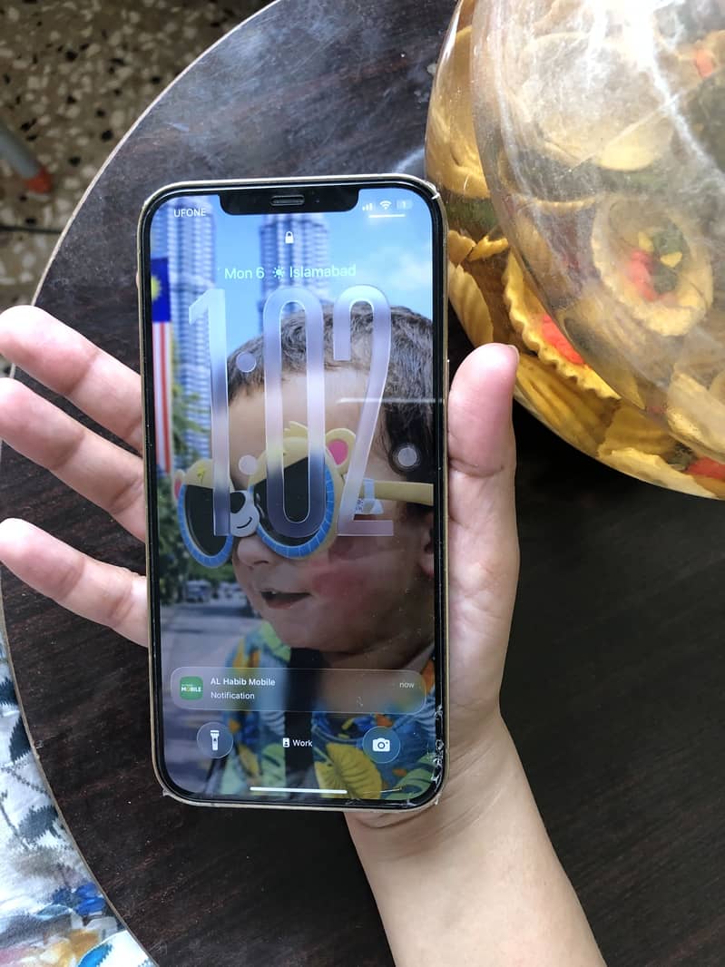 Iphone12 pro max 4