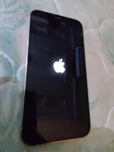 Apple iPhone 12 Pro