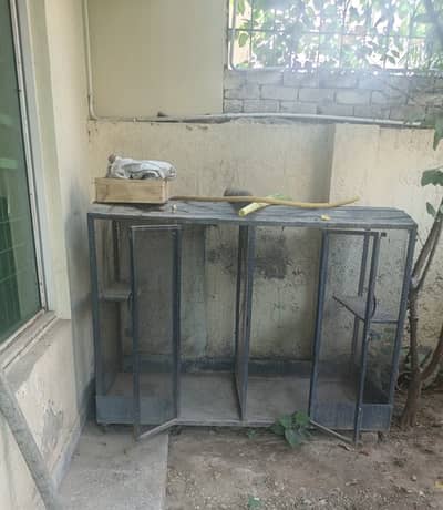 Pigeon cage for sale