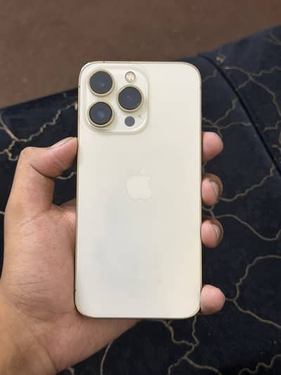 Apple iPhone 13 Pro