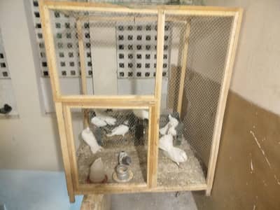 cage for sale