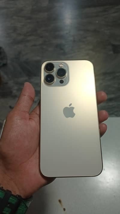 Apple iPhone 13 Pro Max