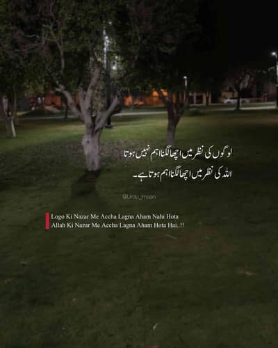 Daniyal Shahid