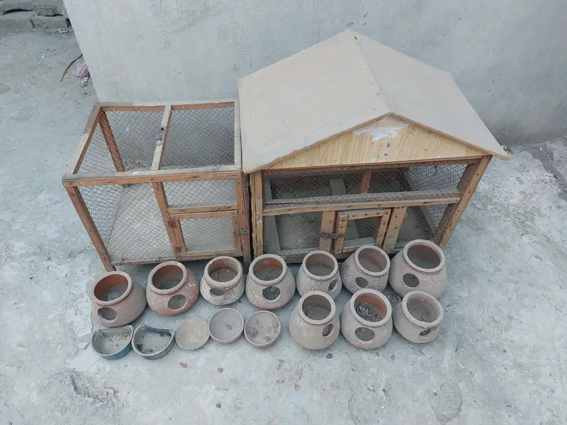 cages for birds