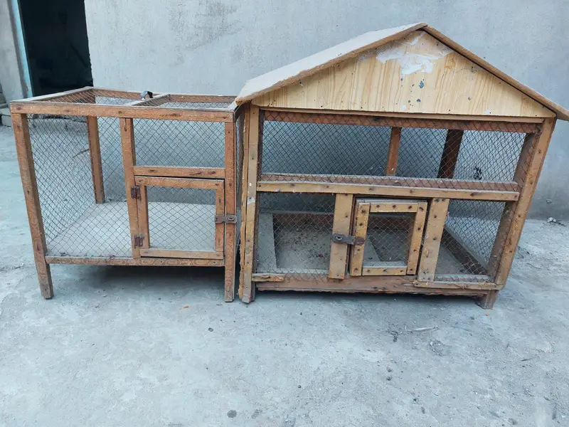 cages for birds — photo 2