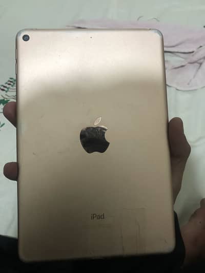 Ipad mini 5 64 GB home botton not working