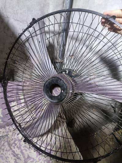 12 volt fan