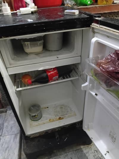 pell one door refrigrator and frezer