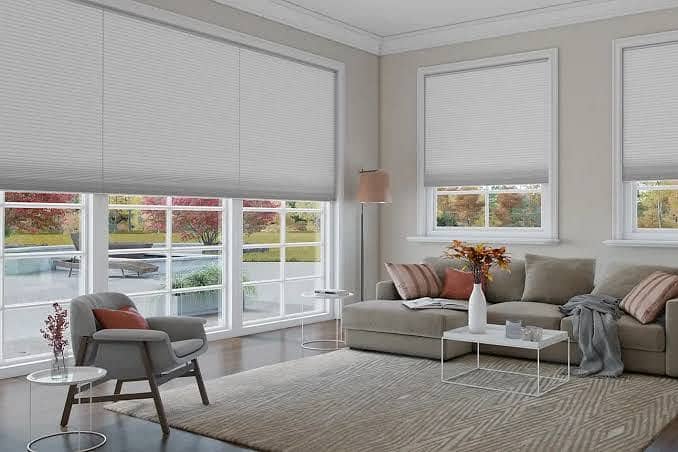 Windows blinds 6