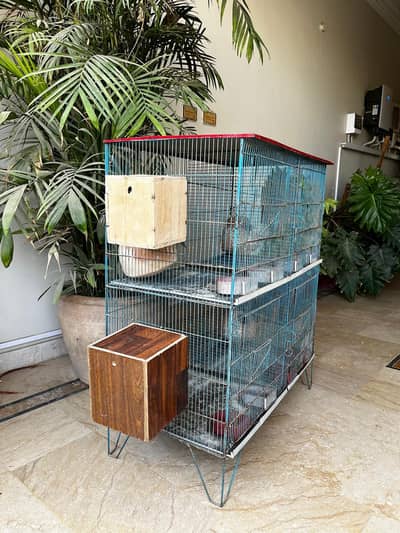 Cage of parrots