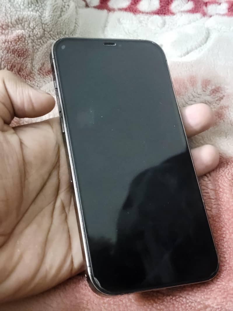 Apple iPhone 12 Pro Max 0