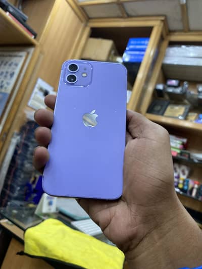 I phone12