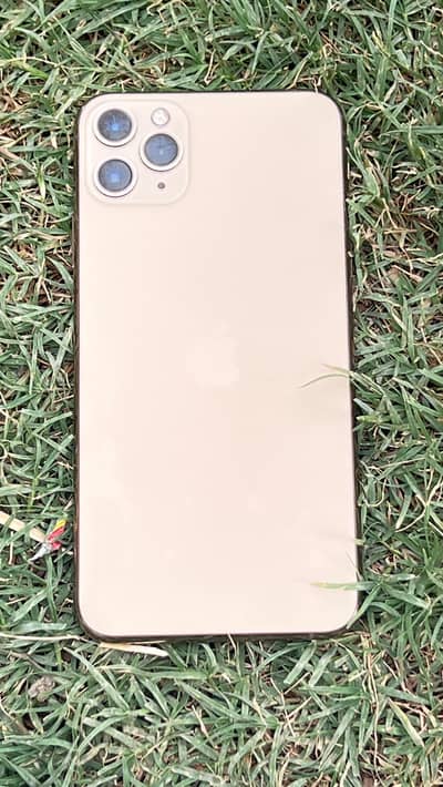 11 promax 256 non pta