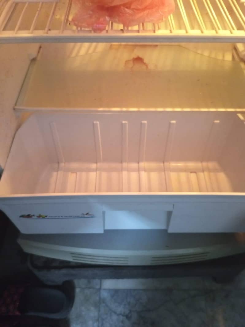 fridge pell 1