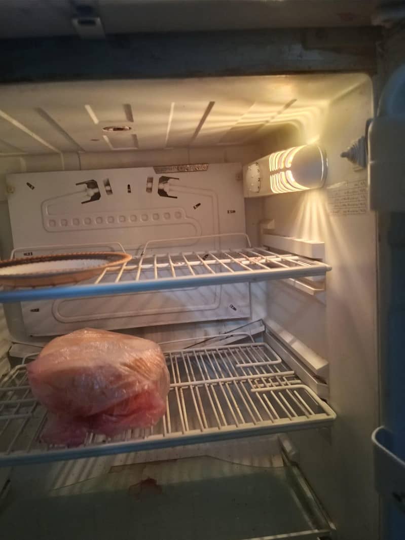 fridge pell 2