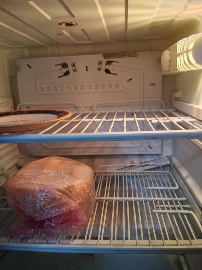 fridge pell 6