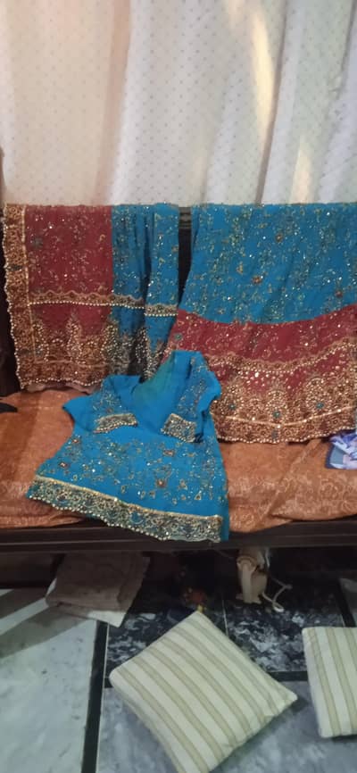 bridle drees
