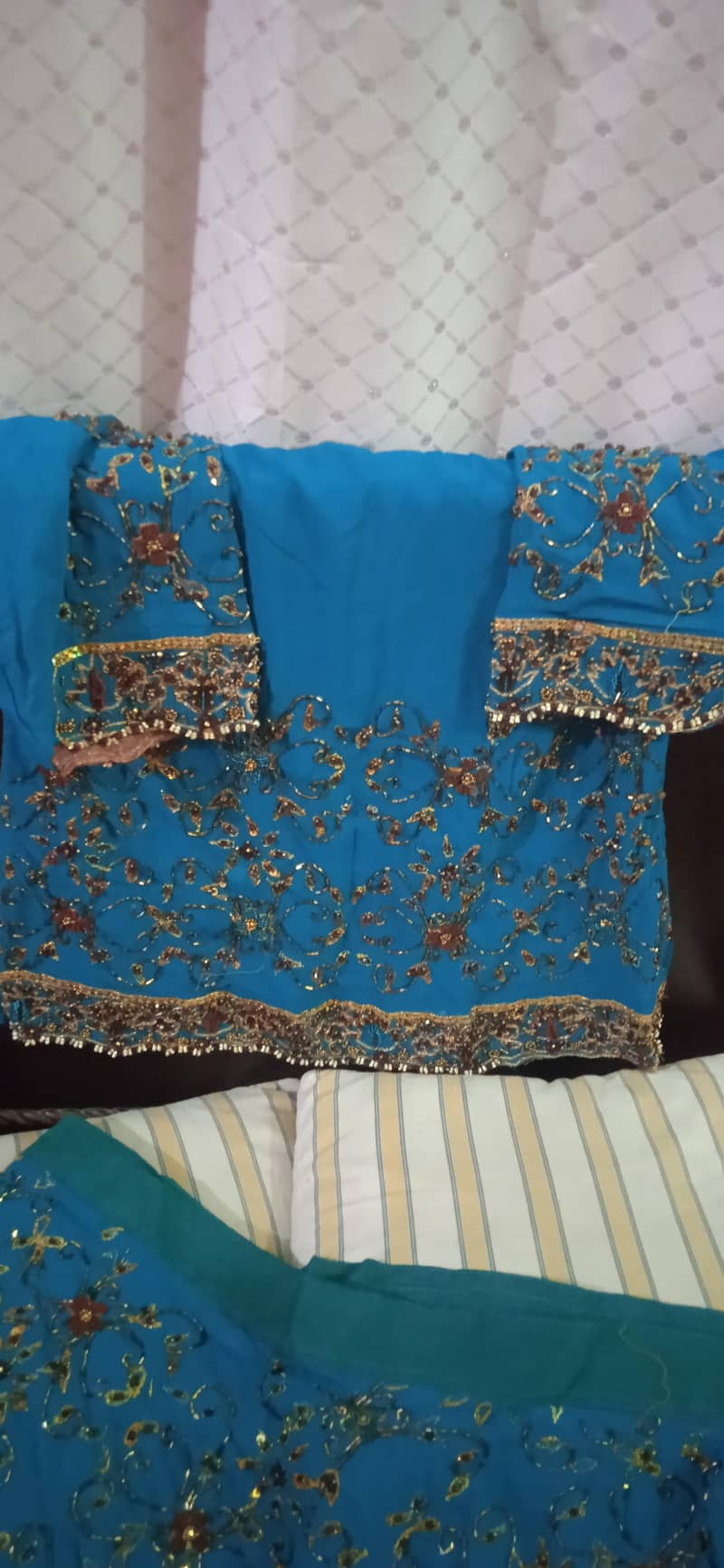 bridle drees 2