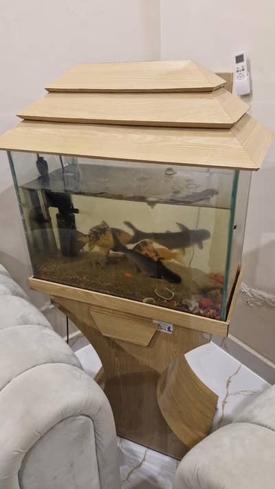 2ft Aquarium Complete Setup with Wooden Stand & 5 Fish