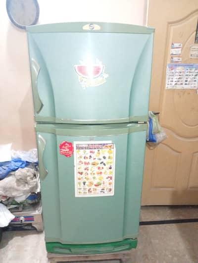 fridge Pel