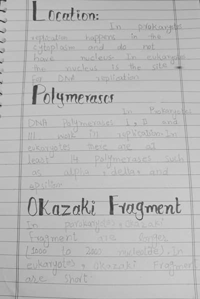 Handwritten Assignment Writing Services