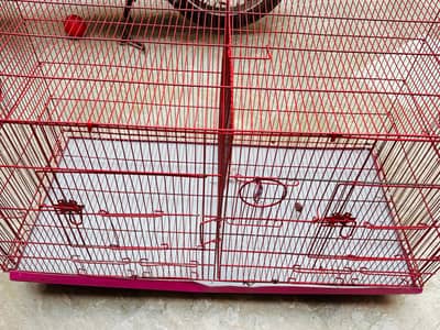 birds double cage for sale