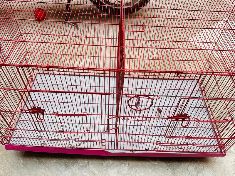 birds double cage for sale