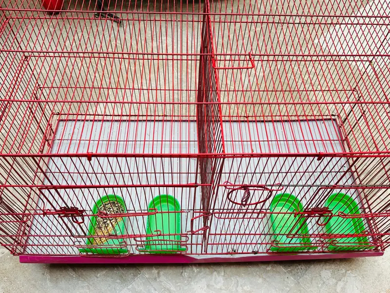 birds double cage for sale — photo 2
